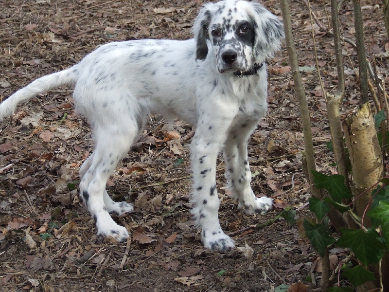 Elke du Haut Maribot
